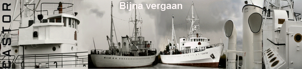 Bijna vergaan